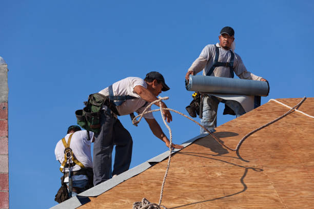 Best Flat Roof Repair Services  in Maryvle, IL